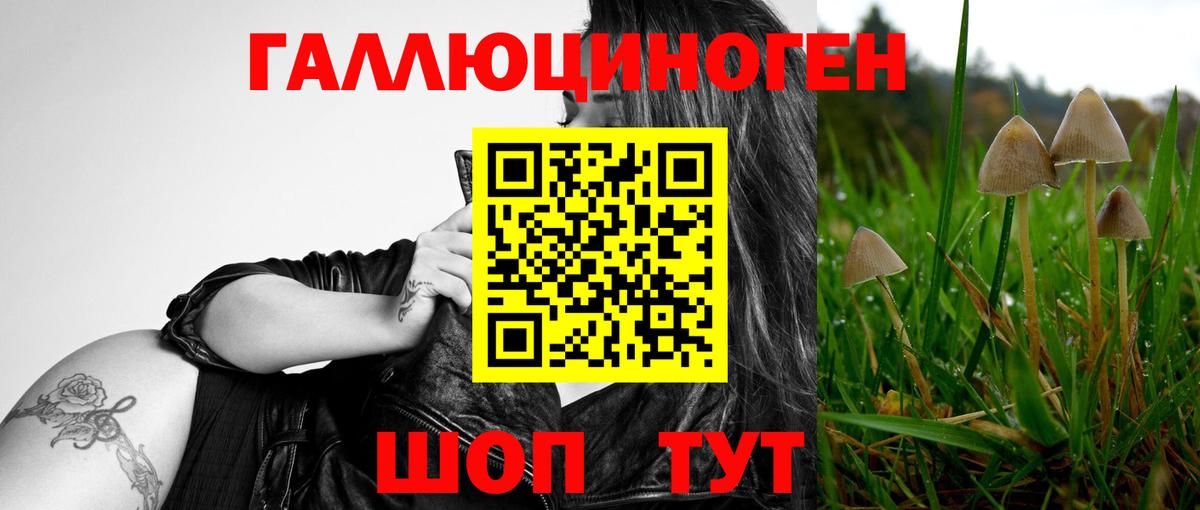 Карачаевск  Галлюциногенные грибы прущие грибы  где купить   Вход с VPN  Псилоцибиновые грибы мицелий 