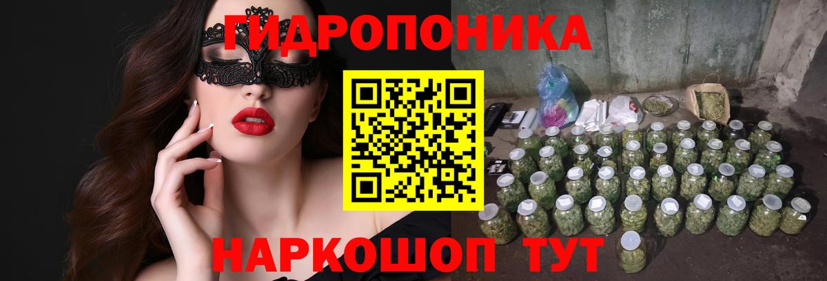 Карачаевск  Бошки марихуана планчик  Бошки Шишки Bruce Banner  Вход с VPN  Бошки Шишки гибрид 